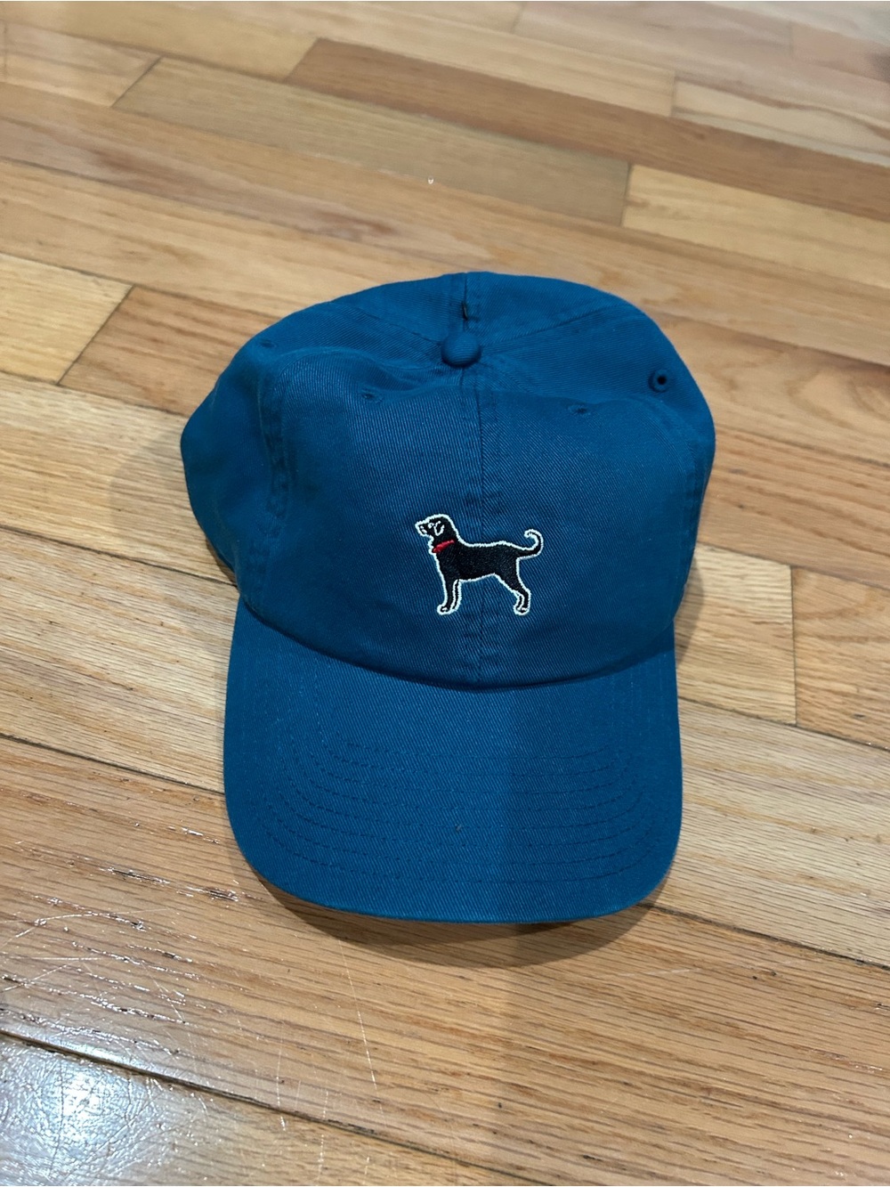 The Black Dog Blue Baseball Hat with Embroidered Black Dog